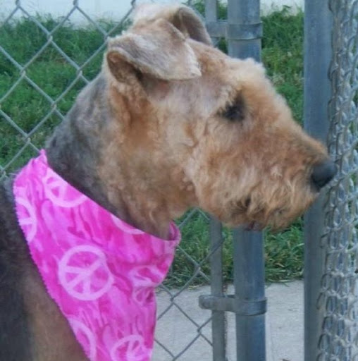 Brenda Mccracken Photo 17