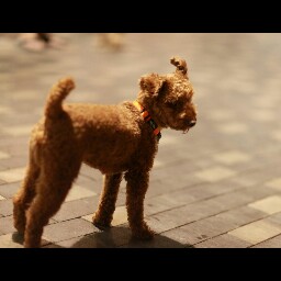 Winson Leung Photo 14