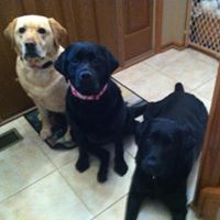 Diane Pastor Photo 11