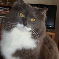 Heather Penney Photo 22