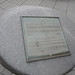 Elizabeth Lester Photo 11
