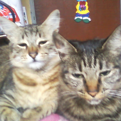 Elsa Cortes Photo 19