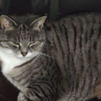 Jared Markham Photo 4