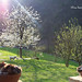 Catherine Bauer Photo 13