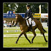 Andrew Nicholson Photo 42
