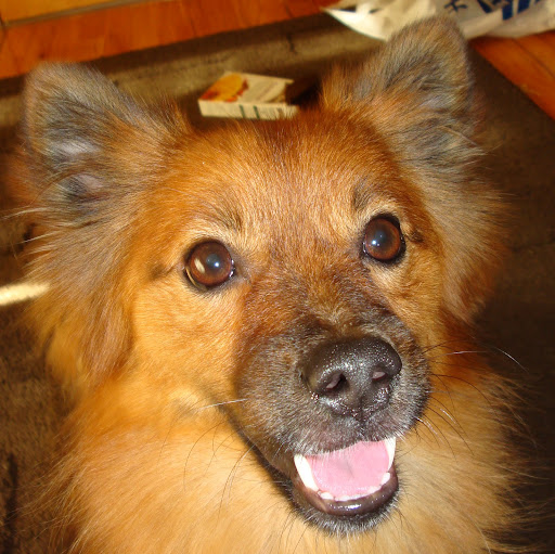 John Mccloud Photo 36