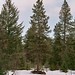 Rusty Trout Photo 8