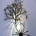 David Little Photo 29