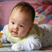 Tom Lay Photo 8