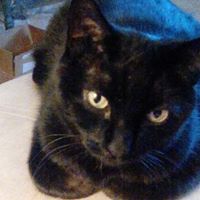 Lisa Nilsen Photo 15