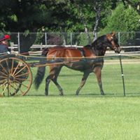 Beth Weber Photo 16