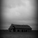 Dorothy Waggoner Photo 7