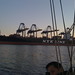 Tony Bustos Photo 8