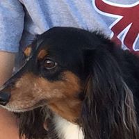 Laura Caskey Photo 5