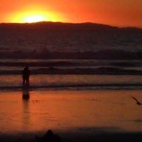 Shawn Carlson Photo 12