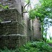 Edward Bruce Photo 15