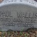 Paul Wallis Photo 19