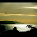 Cliff Sharp Photo 27