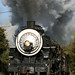 Mark Niles Photo 15