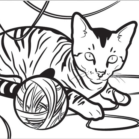 Gillian Miller Photo 27