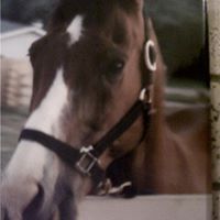 Cindy Redd Photo 7