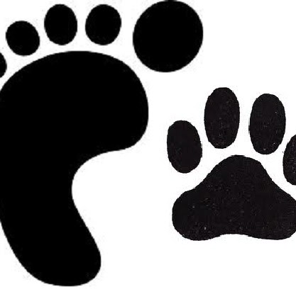 Joel Rodgers Photo 20