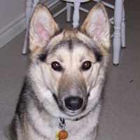 Susan Mccallum Photo 10