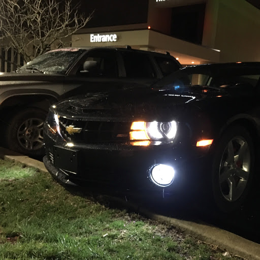 William Rich Photo 17