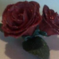 Julie Keating Photo 27