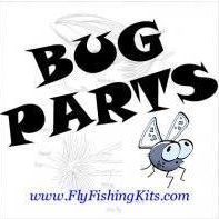 Kelly Lewis Photo 13