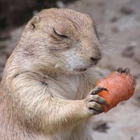 Stephen Coffin Photo 15