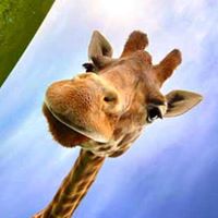 Rob Matheson Photo 14 Rob Matheson Photo 14