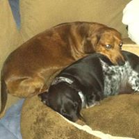 Karen Brannock Photo 3