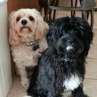 Nancy Gunderson Photo 21