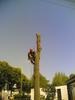 Andrew Watkins Photo 18
