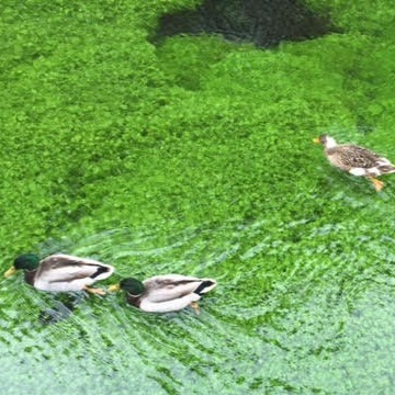 Stephanie Ellis Photo 50