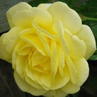 Christine Snider Photo 12