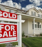 Virginia Lowe Photo 1 Virginia Lowe Photo 1