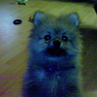 Carole Webster Photo 38