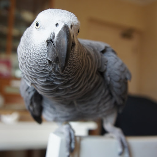 Catherine Lo Photo 11