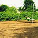 Staci Wells Photo 17