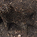 Janet Stump Photo 13