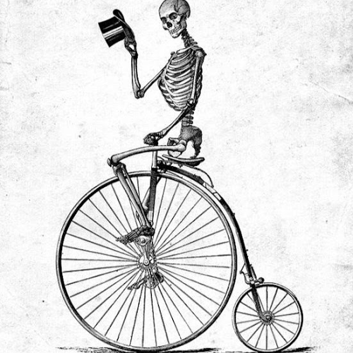 Sarah Pickett Photo 4