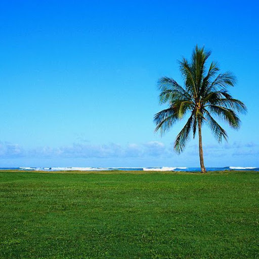 George Michel Photo 46