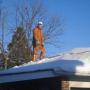 Steven Copeland Photo 16