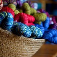 Shannon Kerr Photo 6