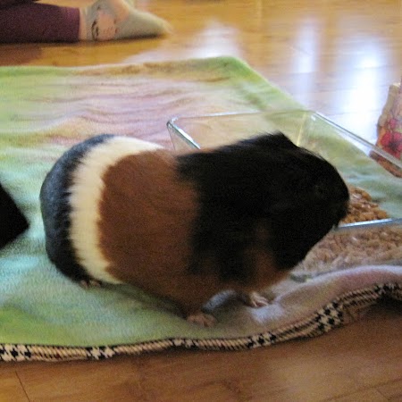 Judith Fleming Photo 12