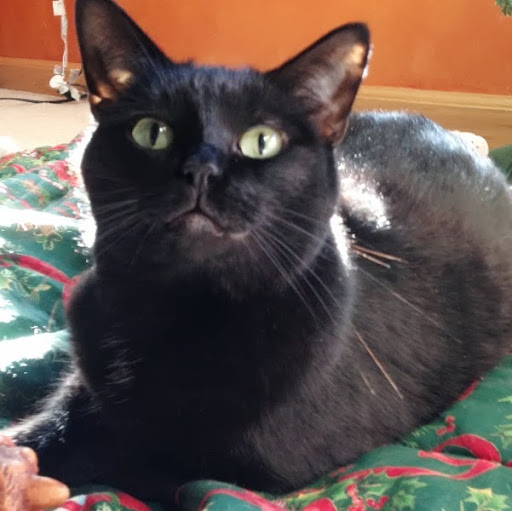 Sandra Earl Photo 15