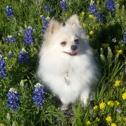 Cheri Pierce Photo 6