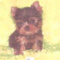 Yvette Roberson Photo 15